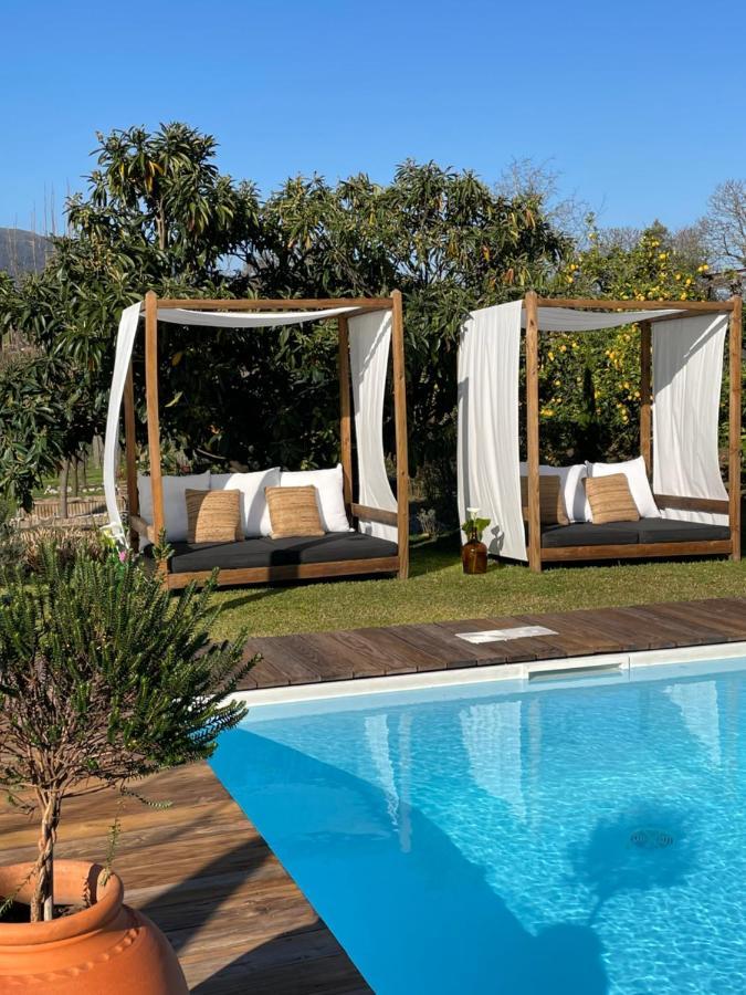 Villa D'Aurora Country Suites Ponte de Lima Kültér fotó